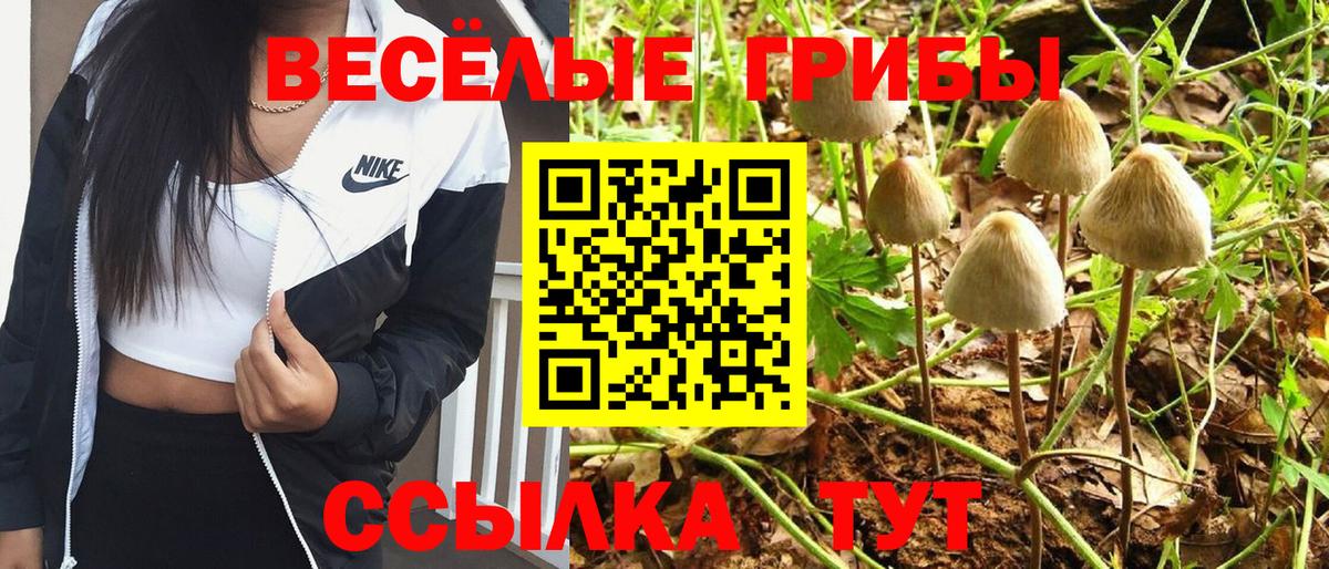 Карпинск  Галлюциногенные грибы Magic Shrooms  Вход с VPN  Псилоцибиновые грибы Magic Shrooms 